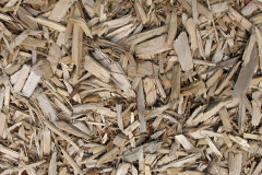 biomass boilers Invernettie